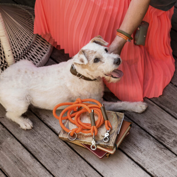 Armband einfach Orange Silber, Armband aus Tau, Hundezubehör individuell nach Maß handgemacht in Österreich