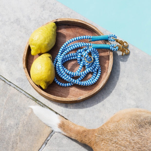 Schlüsselanhänger Blau Weiß gestreift Türkis Messing, Schlüsselanhänger aus Tau, Hundezubehör individuell nach Maß handgemacht in Österreich