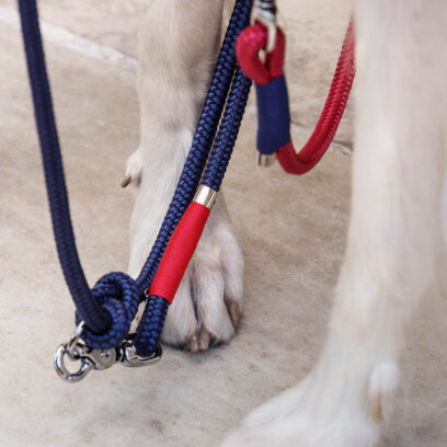 Führleine verstellbar Blau Rot Silber, Hundeleine aus Tau, Hundezubehör individuell nach Maß handgemacht in Österreich
