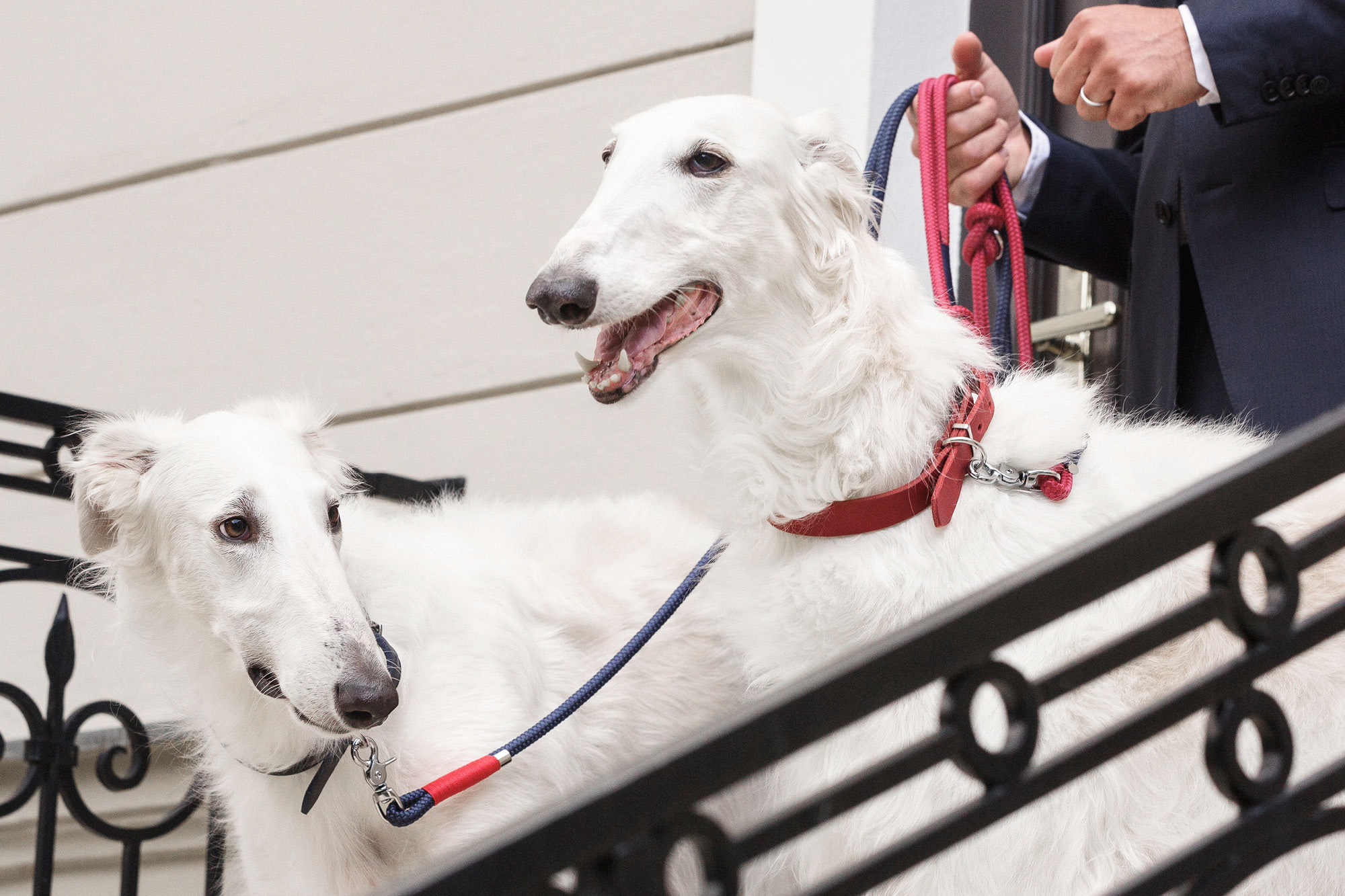 Hundeleine aus Tau, Hundezubehör individuell nach Maß handgemacht in Österreich