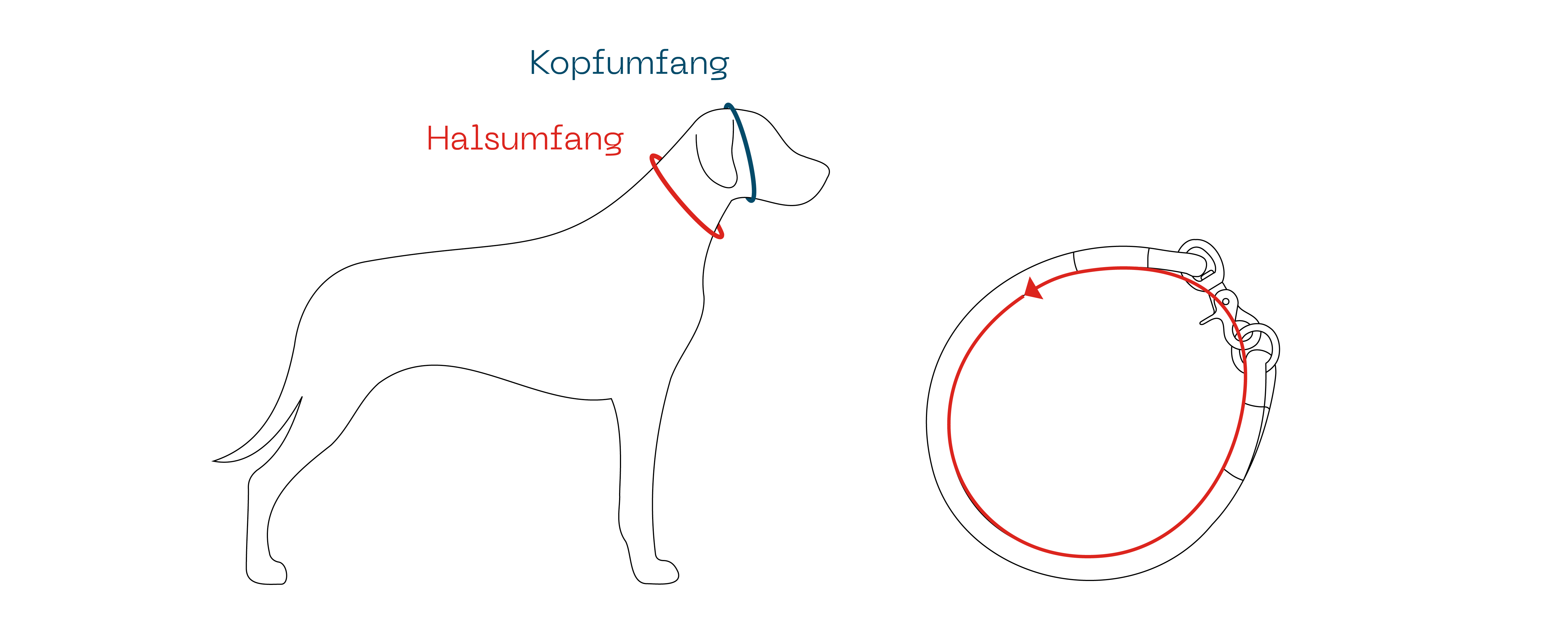 Buddyrope Messanleitung Hundehalsband Kopfumfang Halsumfang messen
